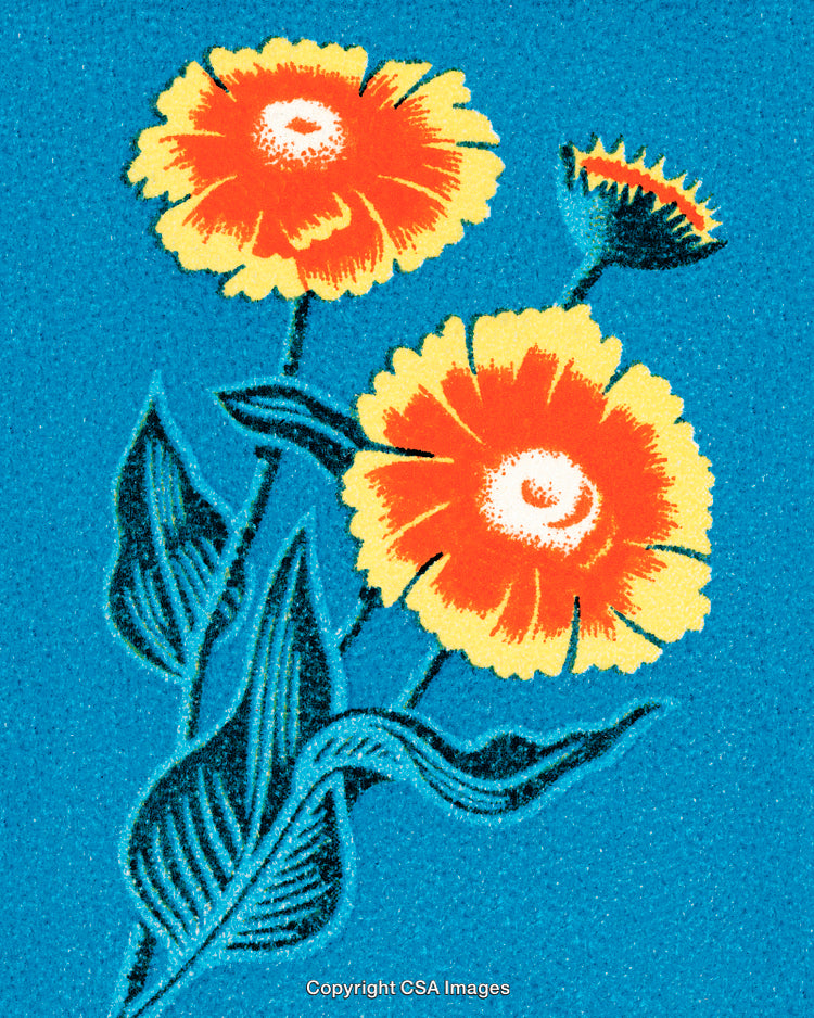 Bright Vibrant Illustration of Yellow and Orange Flowers on Blue Background