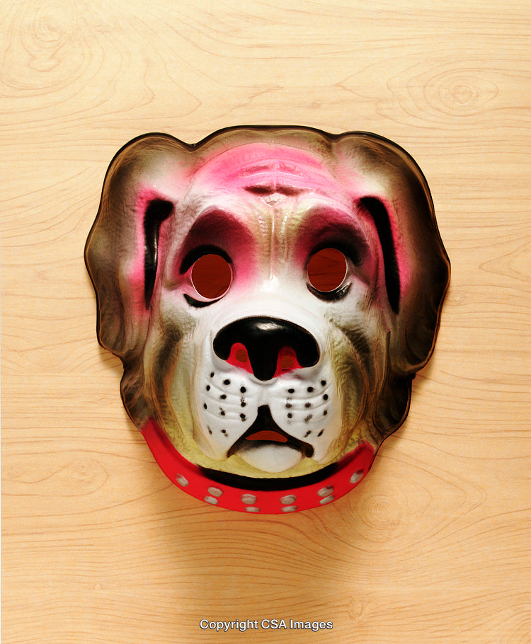 Colorful Animal-Themed Mask Displayed on Wooden Background Surface