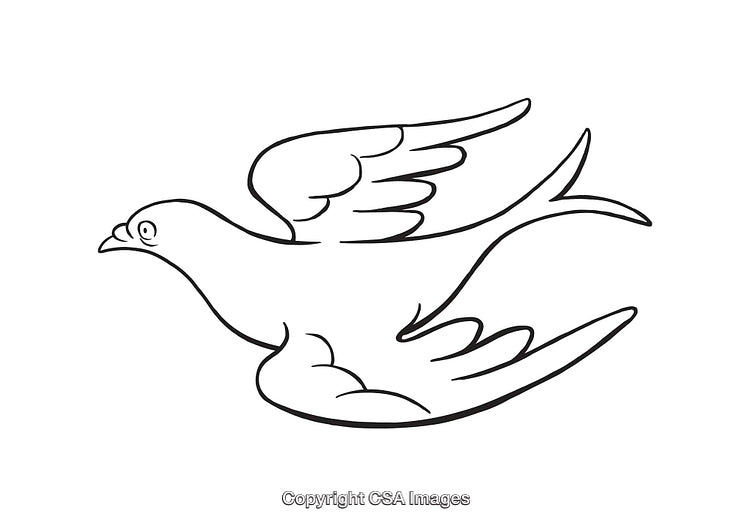 Illustrated Black and White Flying Bird Line Art for Creative Use