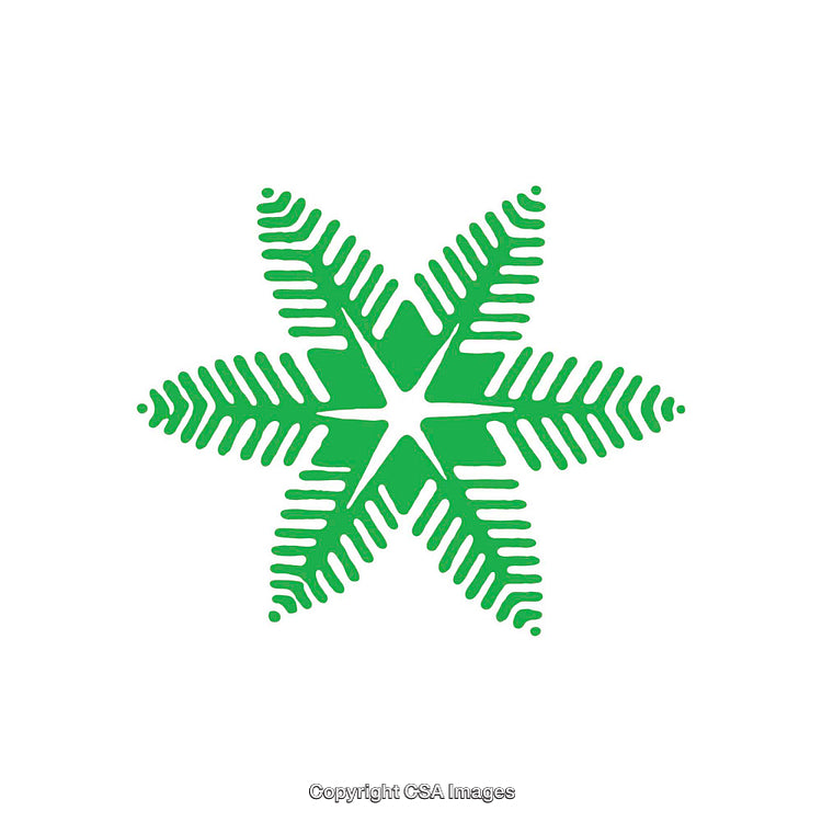 Green Geometric Star Shape With Tribal-Style Symmetrical Design