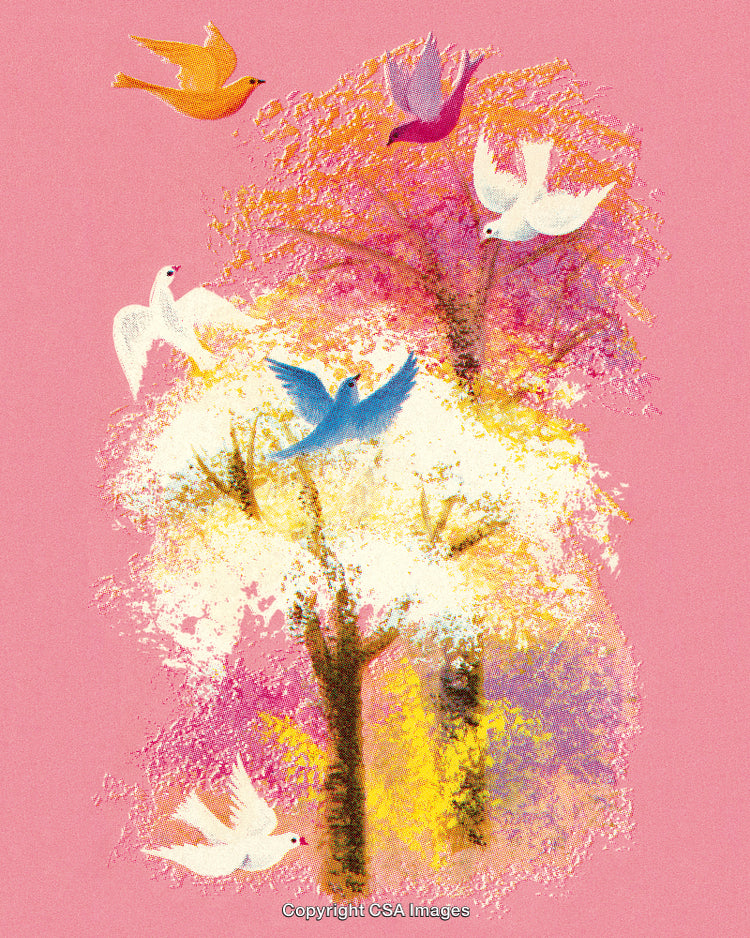 Vibrant Birds Flying Amidst Abstract Trees in Spring Illustration