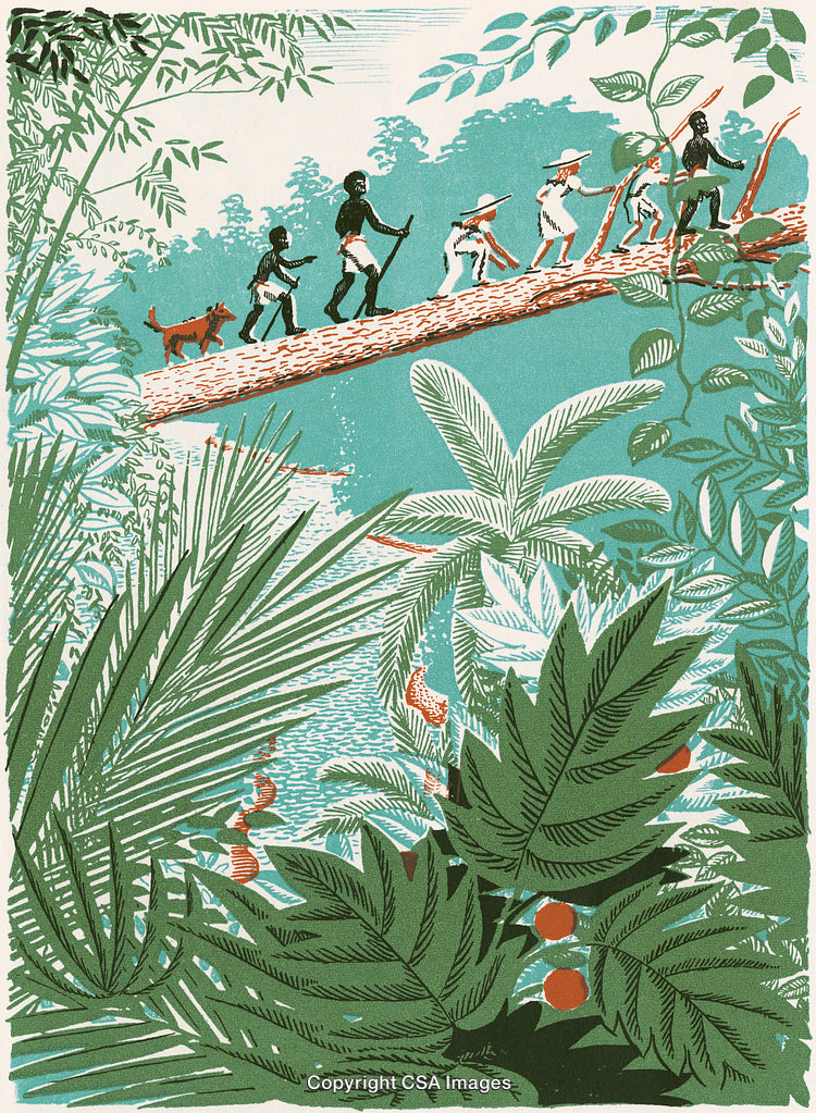 Adventurous Group Crossing Jungle Log Amidst Dense Tropical Foliage and Scenic Waters