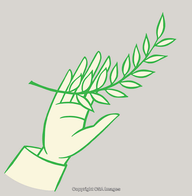 Illustration of a Hand Holding a Green Olive Branch Line Art