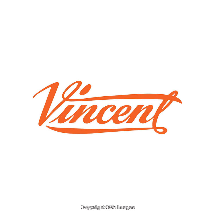 Stylish Vincent Text Logo in Vibrant Orange on White Background