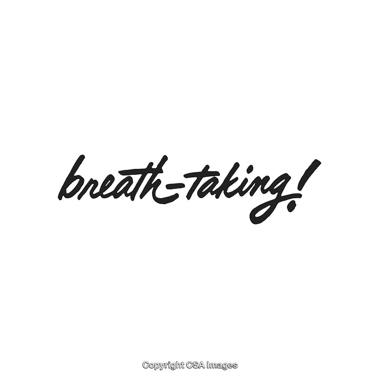 Elegant Handwritten Text Design Depicting the Word 'Breathtaking' in Black