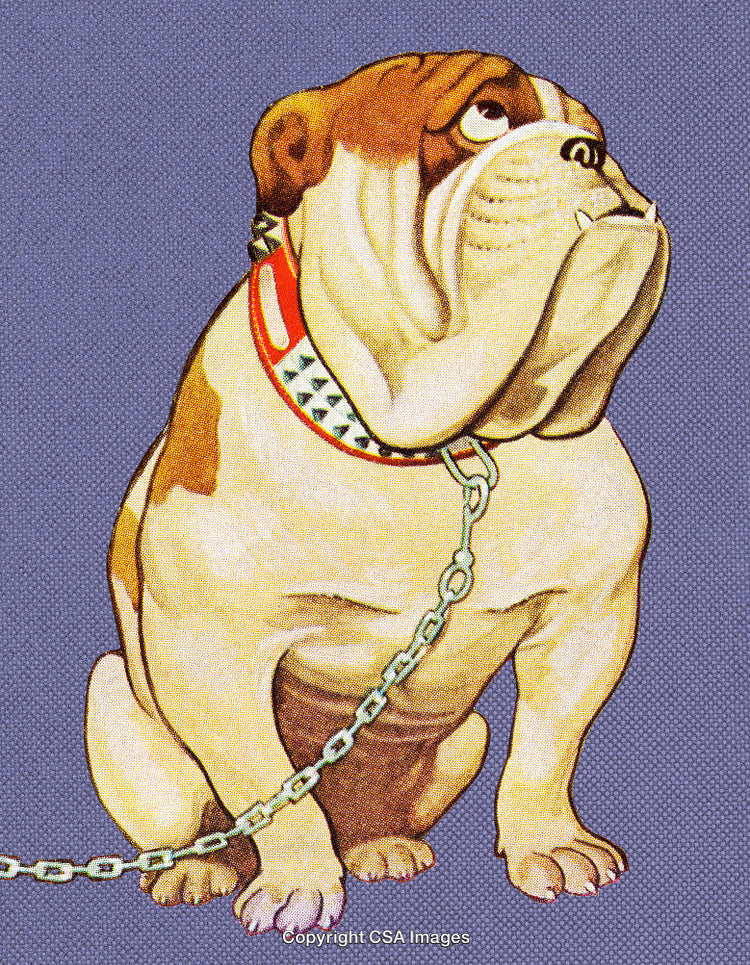 Illustrated Bulldog Sitting Alone with Collar and Chain on Textured Background