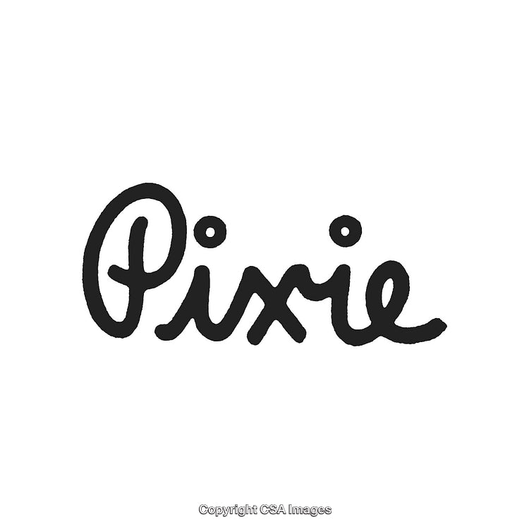 Stylized Hand-Drawn Script Logo with the Word 'Pixie'