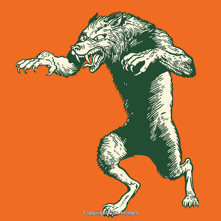 Fierce Werewolf Line Art Illustration on Orange Background