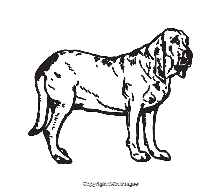 Black and White Line Art Illustration of a Standing Dog