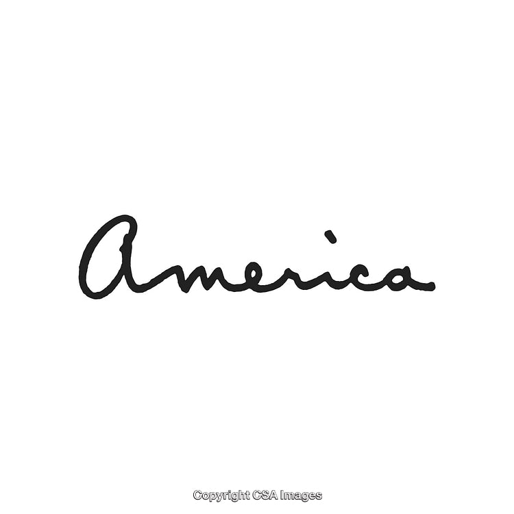 Elegant Handwritten Word 'America' in Artistic Black Calligraphy on White Background