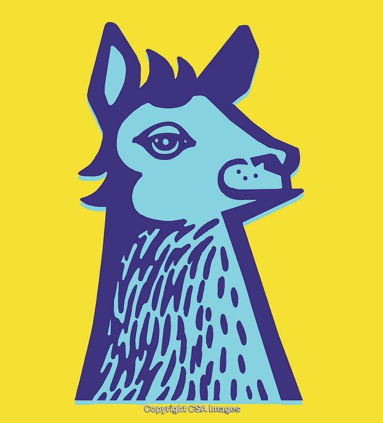 Colorful Illustration of a Llama with Bold Lines and Vibrant Colors