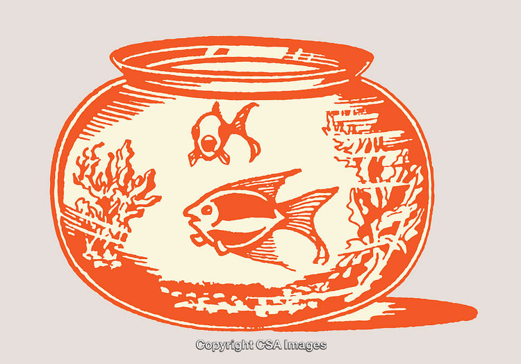 Vintage Line Art of Fish in Aquarium with Coral Details