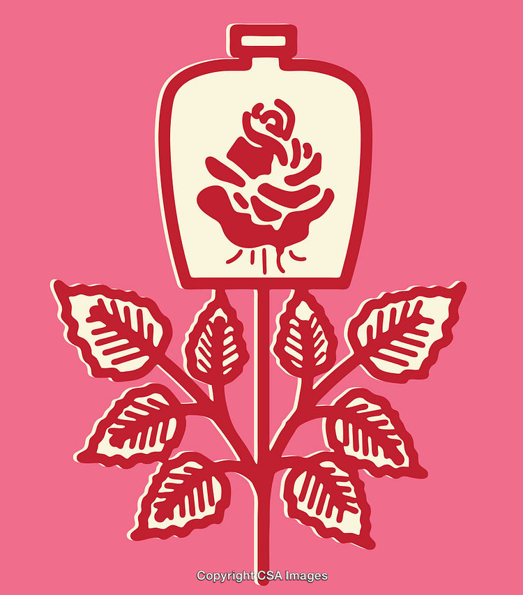 Stylized Red Rose Illustration With Artistic Line Design on Pink Background
