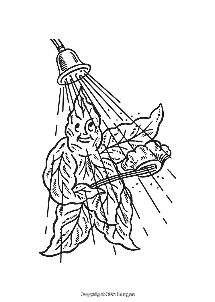 Whimsical Line Art of Plant Character Under Shower