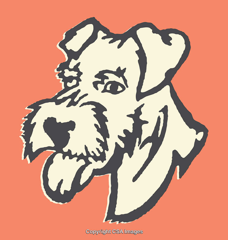 Expressive Line Art Illustration of a Dog on an Orange Background