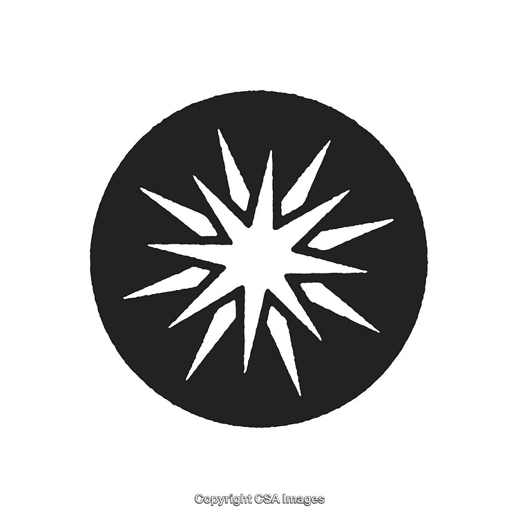 Decorative Black and White Circle Design with Radiating Pattern