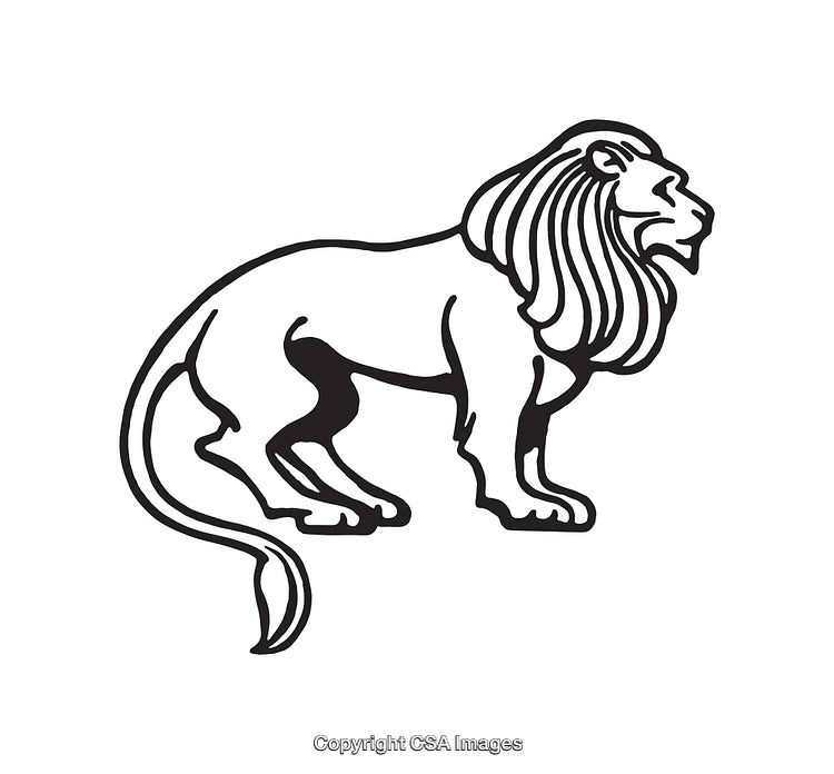 Black and White Line Art of a Standing Majestic Lion