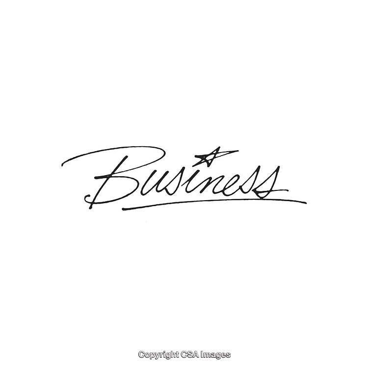 Elegant Handwritten Business Script With Star Design Included