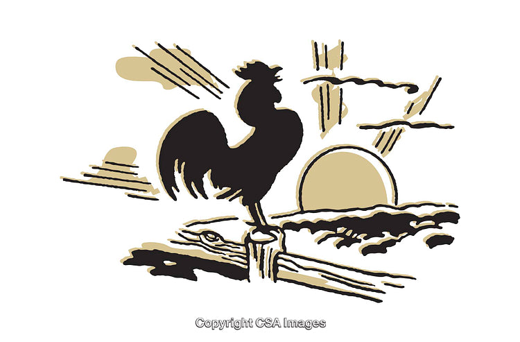 Stylized Rooster Illustration at Sunrise with Rustic Farm Elements