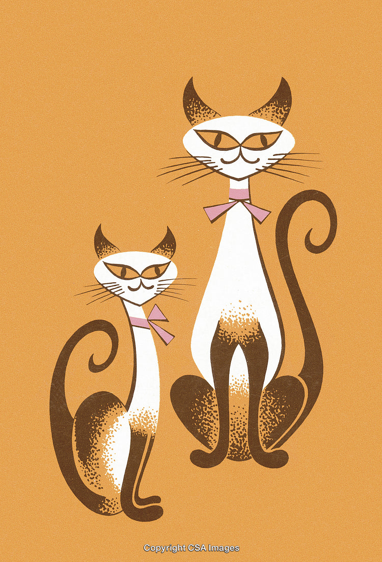 Vintage Illustration of Two Stylish Cats with Pink Bows on Brown Background