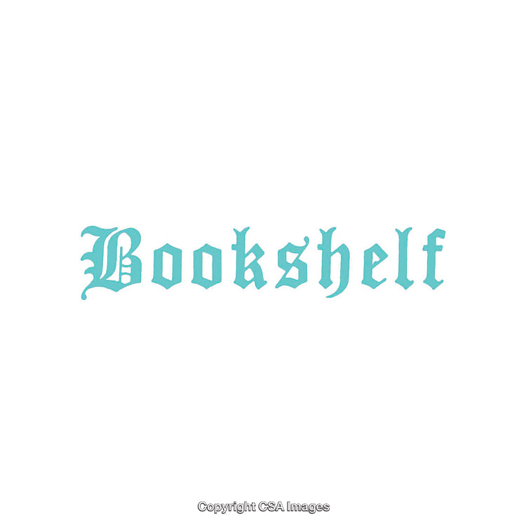 Elegant Light Blue Calligraphic Font Spelling the Word 'Bookshelf'