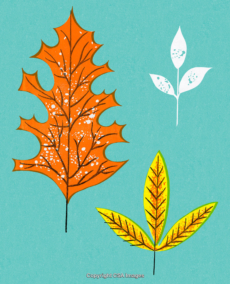 Vibrant Autumn Leaves Illustration with Bright Colors on a Cyan Background