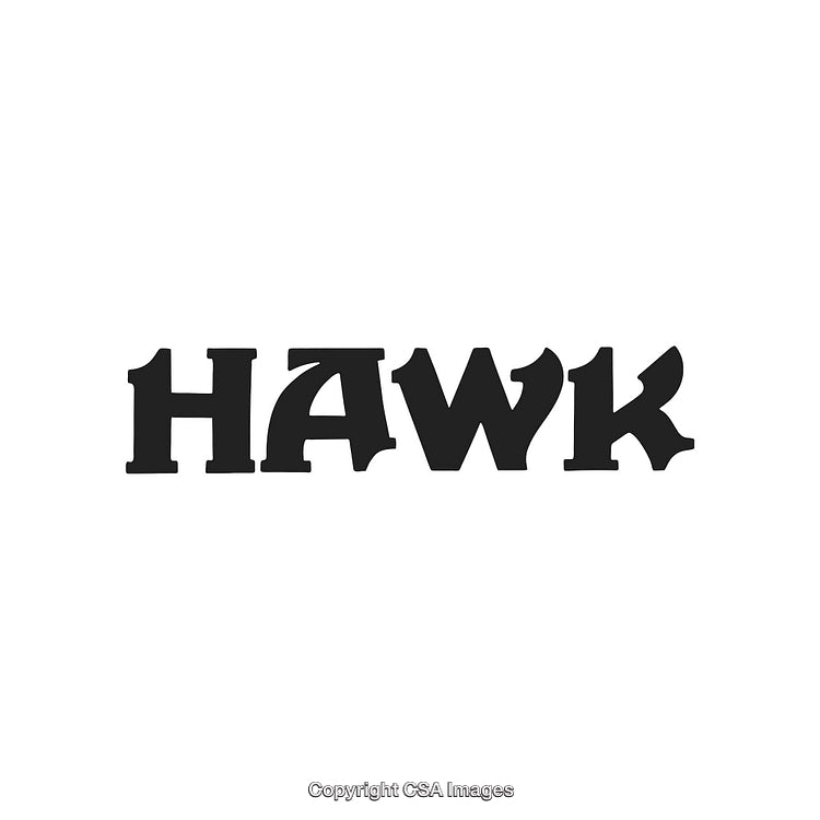 Bold Black Lettering of the Word Hawk on a White Background