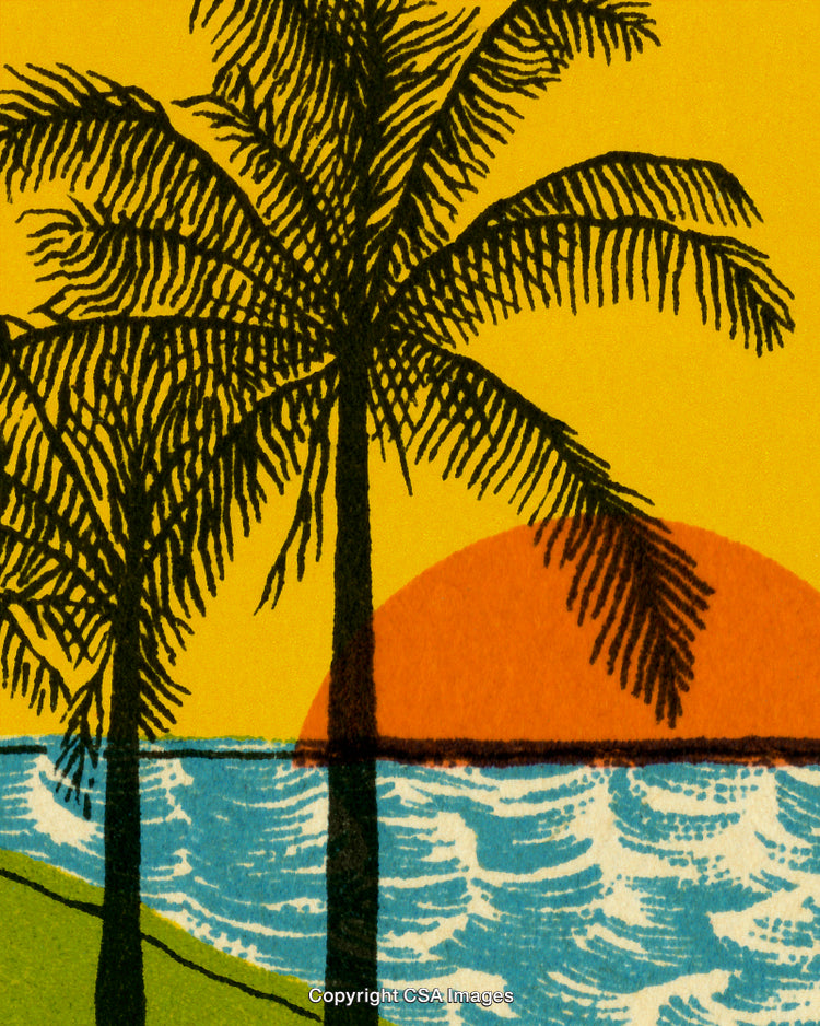 Scenic Sunset View of Palms by Ocean Waves
