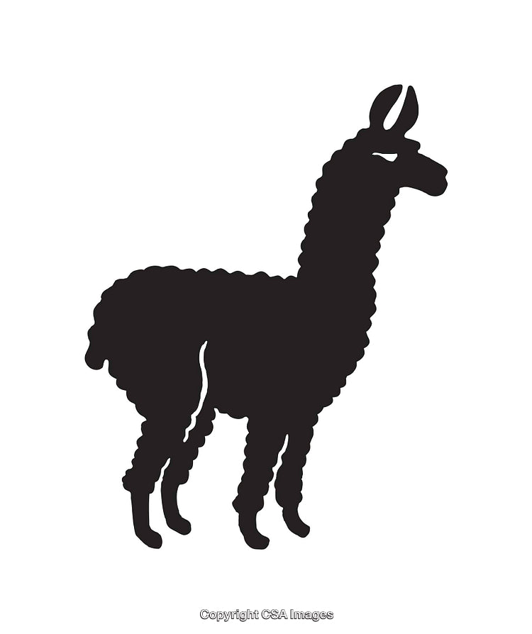 Black and White Llama Line Art Silhouette with Minimalist Design