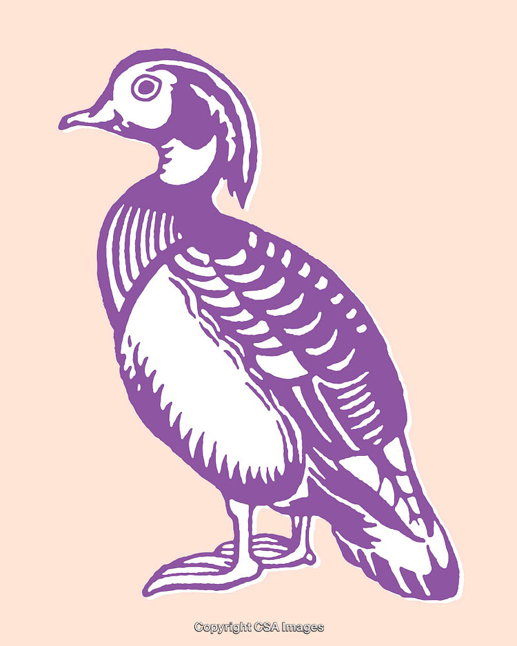 Colorful Illustration of a Bird in Vibrant Purple Line Art Design