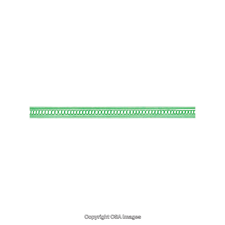 Close-Up of Green Decorative Patterned Trim on White Background