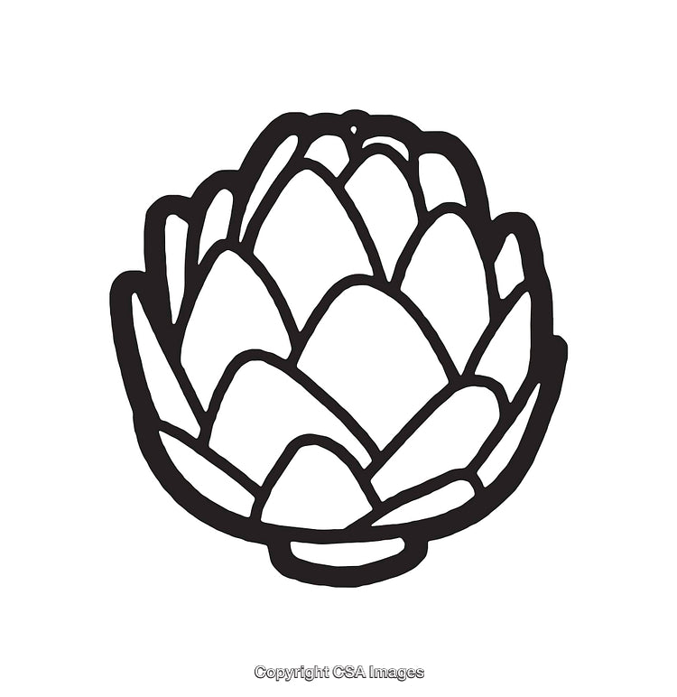 Black and White Line Art Illustration of an Artichoke