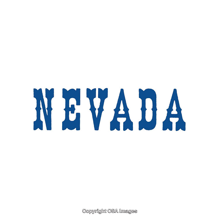 Bold Blue Typography Featuring the Name Nevada on White Background