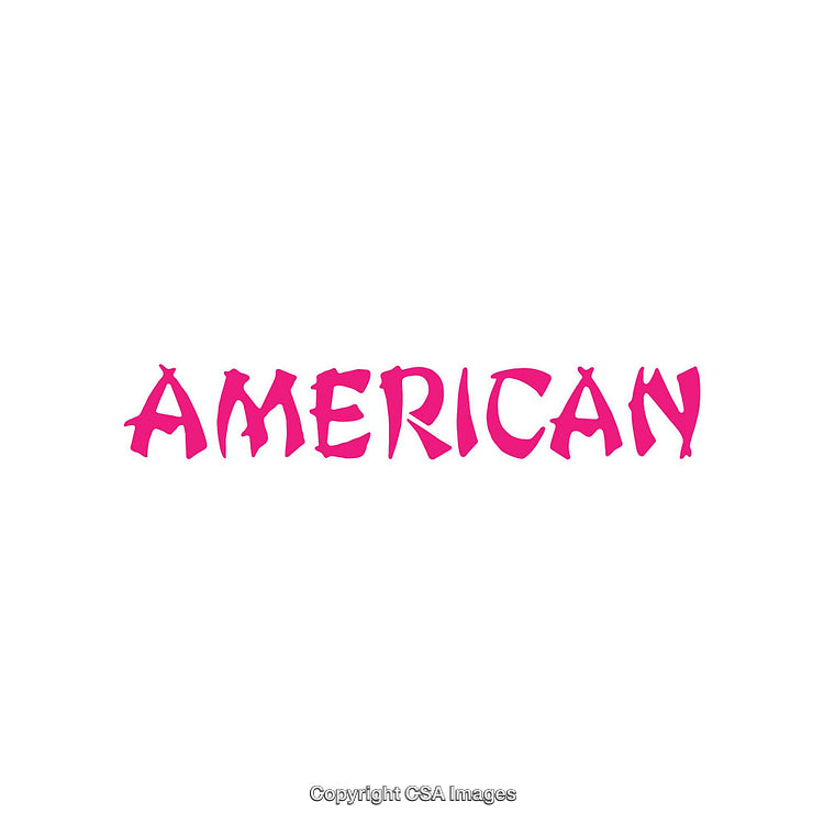 Bold Pink Typography of the Word "American" in Artistic Style