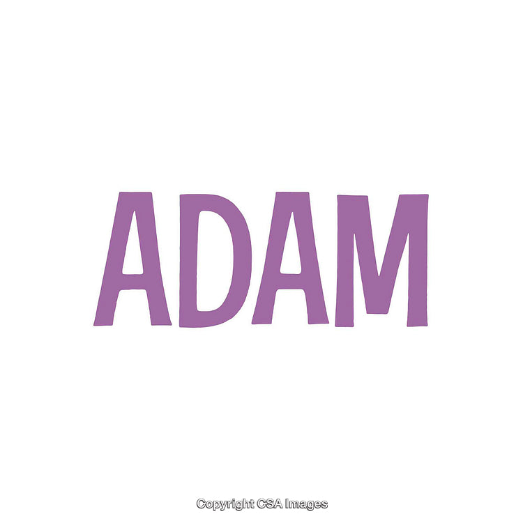 Bold Purple Typography Design Featuring the Word 'Adam' on White Background