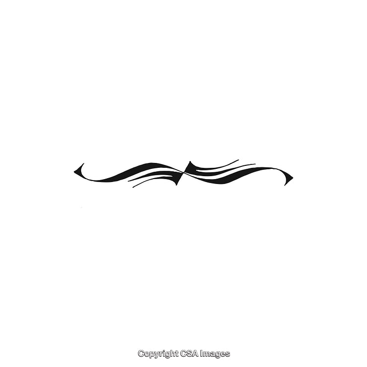 Elegant Decorative Black and White Flourish Design Element