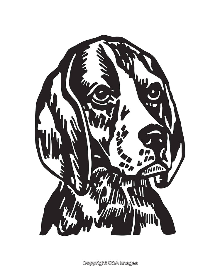 Detailed Black And White Line Art Illustration of a Dog Portrait