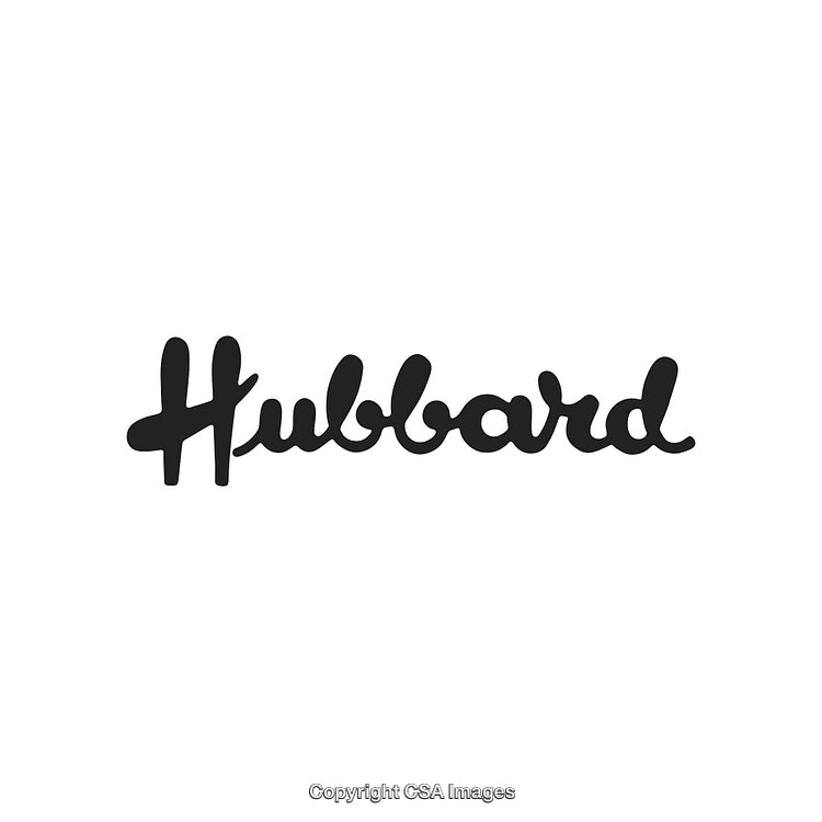 Stylized Logo Design Featuring the Word Hubbard in Black Script on White