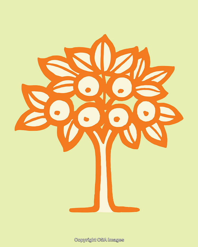 Colorful Line Art Illustration of a Fruit Tree with Leaves