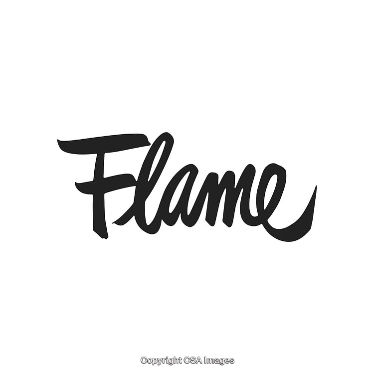 Bold Handwritten Script Featuring the Word Flame in Black Text