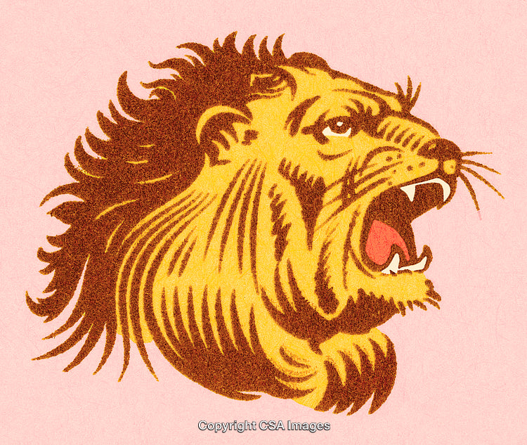 Detailed Illustration of a Roaring Lion Head on Pink Background