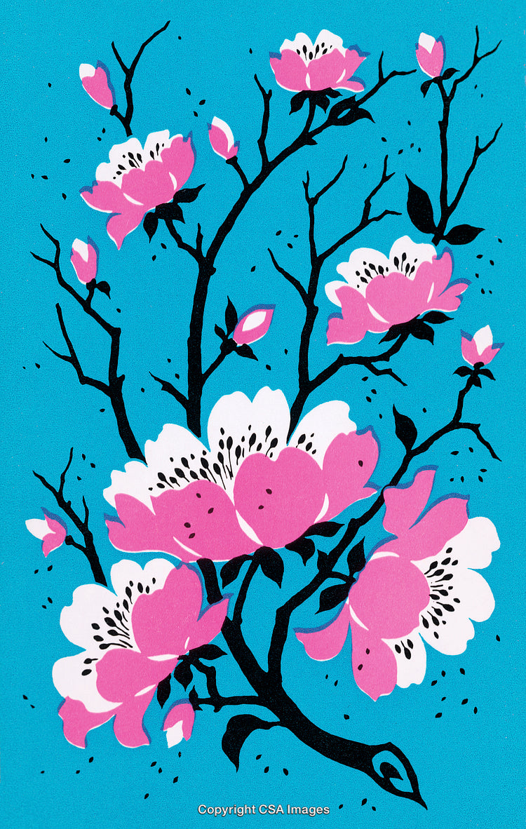 Vivid Pink Blossoms on a Tree Branch with a Bright Blue Background
