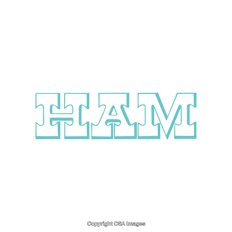 Minimalistic Typography Art Featuring the Word 'HAM' in Puzzle Style