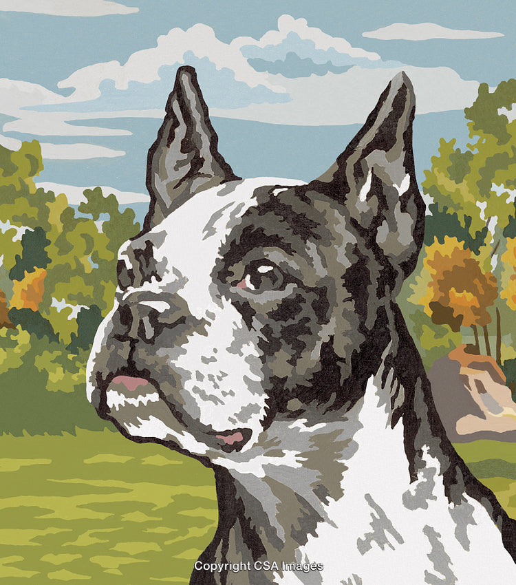 Artistic Boston Terrier Illustration in Scenic Outdoor Setting with Trees and Clouds