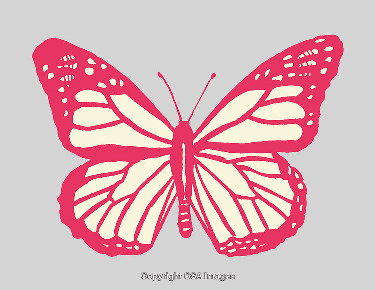 Pink Butterfly Line Art Illustration on a Gray Background