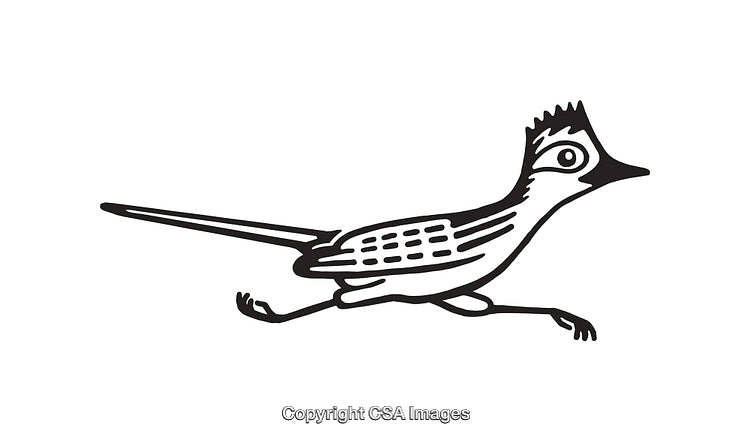 Black and White Line Art of a Stylized Running Roadrunner Bird
