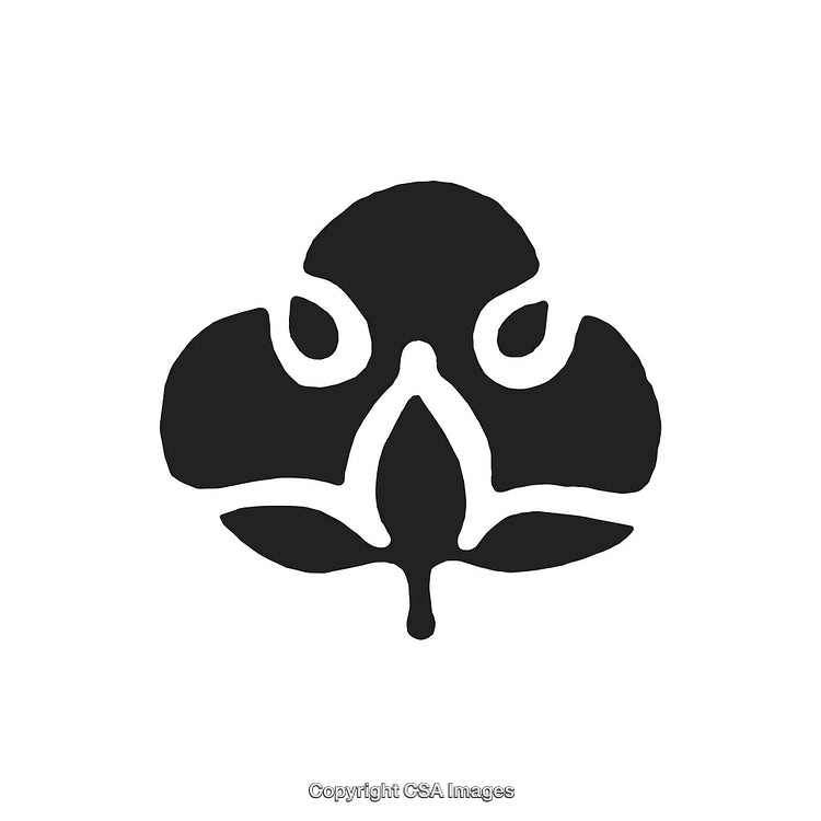 Black and White Ornamental Decorative Design Emblem With Abstract Elements
