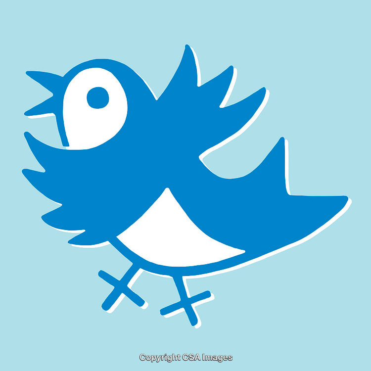 Colorful Cartoon Bird Illustration on a Sky Blue Background