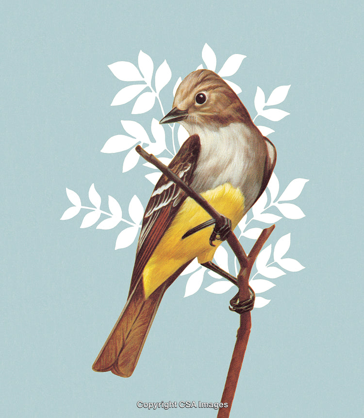 Yellow-Breasted Bird Perched with Decorative Leaves on Light Background