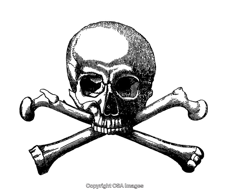Engraved Skull and Crossbones Symbol with Intricate Black and White Detailing